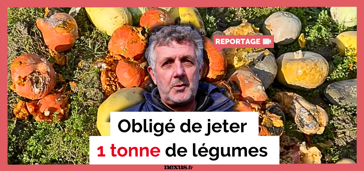 Un maraîcher bio doit jeter près d’une tonne de légumes ! – Vidéo